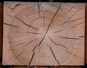 The end part of a wooden beam. Detailed texture of the beam.
