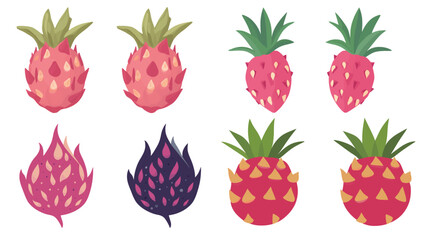 Two Dragon Fruits Vector Graphic Design – Tropical Exotic Fruit Illustration