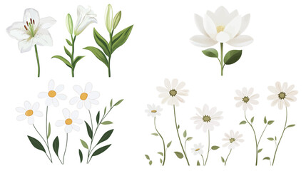 White Flower Illustration Vector Graphic Design – Elegant Botanical Artwork