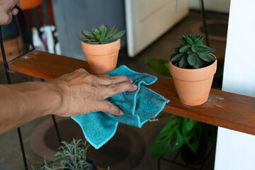 Close-up of a person’s hand cleaning a wooden shelf with a blue microfiber cloth beside potted succulent plants in terracotta pots. Perfect for use in lifestyle blogs and housekeeping tutorials