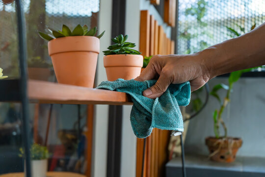 Close-up of a person’s hand cleaning a wooden shelf with a blue microfiber cloth beside potted succulent plants in terracotta pots. Perfect for use in lifestyle blogs and housekeeping tutorials