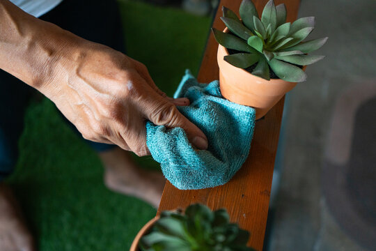 Close-up of a person’s hand cleaning a wooden shelf with a blue microfiber cloth beside potted succulent plants in terracotta pots. Perfect for use in lifestyle blogs and housekeeping tutorials
