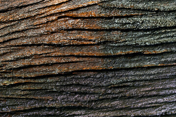 Detailed Textured Surface of Darkened Wood Grain Background