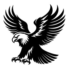 Fototapeta premium eagle in flight