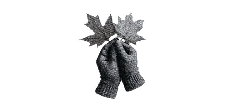 Gloved Hands Holding Maple Leaves. Symbol Of Autumn And Canadian Identity In Black And Isolated On Transparent Background