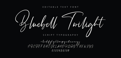 Script Elegant Signature Typeface. Lettering signature font isolated on background. brush style alphabet. Vector logo letters.
