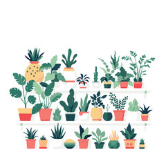 Decorative indoor potted plants collection