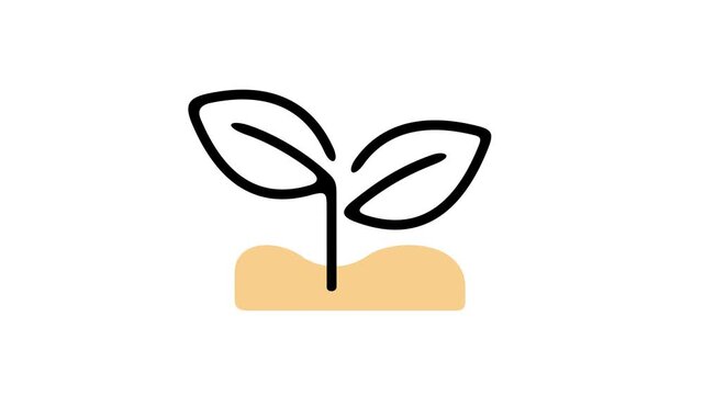 Seedling grows out of soil, graphic animation. Black linear. Alpha channel. Transparent background motion design. 4K resolution