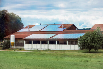 Obraz premium Modern Cow Barn or Cowshed Farm with Solar Panels on Roof. Solar Panel Station on Cowshed. Eco Smart Farming.