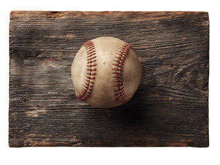 Baseball Bat Isolated on White