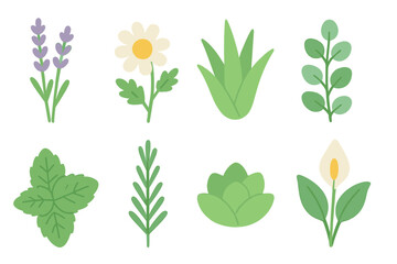 Calm Plant Icons. Flat vector mini-illustrations calm plants in colors children's illustrations: lavender, chamomile, aloe vera,