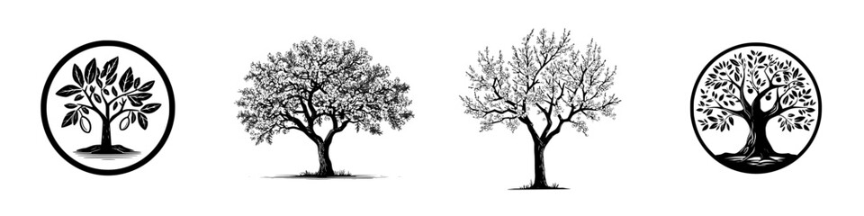 Stylized trees with fruits and blossoms in circular frames, isolated elements, minimalist monochrome icons