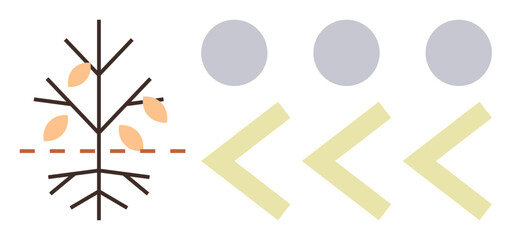 Bare tree with sparse leaves paired with arrows and circles, symbolizing change, shifting perspectives, transformation, growth, renewal, process, direction. Ideal for simplicity nature transition