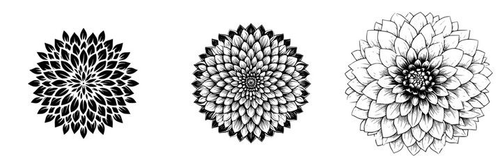 Intricate Dahlia Flower Petal Patterns, minimalist monochrome icons