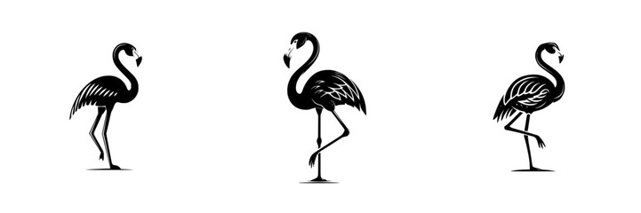 Stylized Black Flamingos in Silhouette with Detailed Feathers and Legs, minimalist monochrome icons