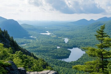 Scenic aerial view of green valley