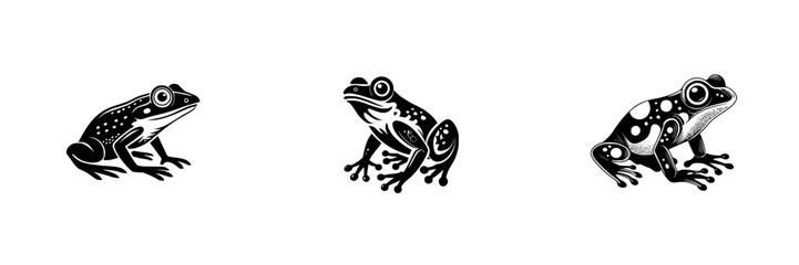 Three stylized frogs, black and white, detailed spots and patterns, isolated on white, minimalist monochrome icons