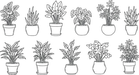Vector set of hand-drawn potted plants and indoor plants in simple line art style
