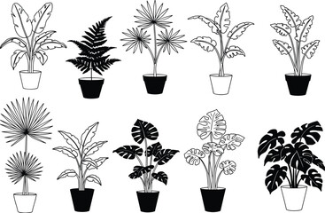 Vector set of potted plants with intricate leaf designs in black and white line art style
