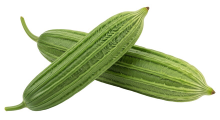 Isolated Fresh Green Ridge Gourd