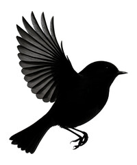 Fototapeta premium Silhouette of a flying robin with a dynamic pose