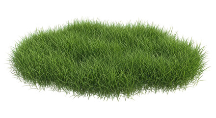 Isolated Grass