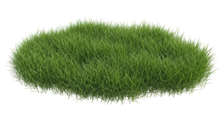 Isolated Grass