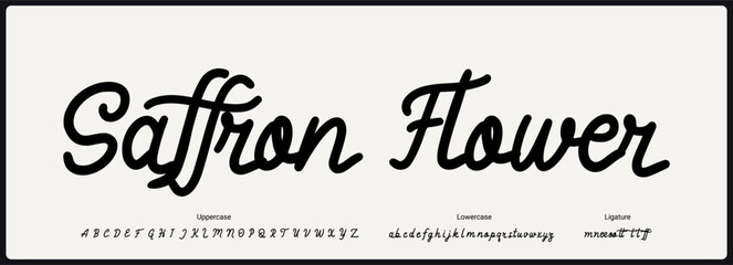 Handwritten script vector font. Alphabet script font with uppercase, lowercase, and ligature. Authentic and classy typography for fashion, poster, product, and branding. 