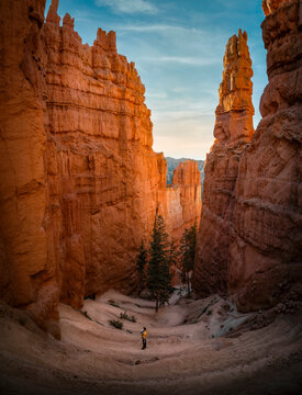 Hiker walking along a winding trail in Bryce Canyon National Park, Utah, USA, surrounded by towering orange hoodoos and dramatic rock formations at golden hour.