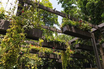 Fototapeta premium Hanging rectangular planters filled with trailing greenery and red flowers on modern black metal trellis structure in lush outdoor garden setting