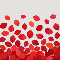 Beautiful decorative red rose petals lying on a white background