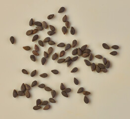 Sesamkerne, Sesam, schwarz, isoliert, arabisch, 