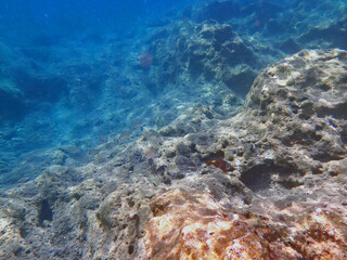 Fondale marino Plemmirio 882