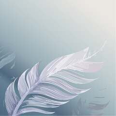 Vector grey feather shape