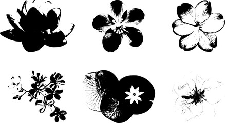 Vector floral textured prints, minimalist Japanese style flowers for pattern, tattoo, or background design