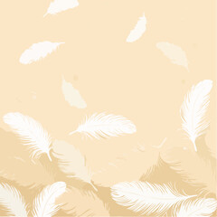 Beige pattern with white feathers vector