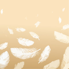Beige pattern with white feathers vector