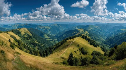 Obraz premium Panoramic View Of Rolling Hills And Forests