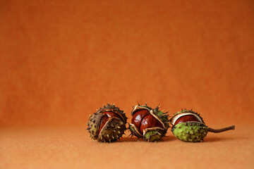Shiny brown horse chestnuts revealed in cracked, spiky shells, beautifully contrasted with a bright orange background in a striking autumn composition.