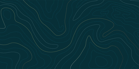Luxury abstract line art background. Topograhic map background with golden lines. Ideal for wall arts, packaging, banner, wallpaper, fabric , web, app designs
