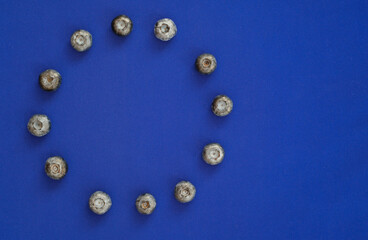 Blueberries arranged in a circle on a blue background to mimic the stars of the EU flag. Сonceptual representation of berries production and trade in the European Union. Copy space.