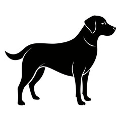 Silhouette of Labrador Retriever on white background