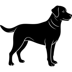 Silhouette of Labrador Retriever on white background