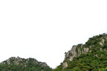 Green moss clings to a stone on a summer mountain cliff with a high view of the clouds