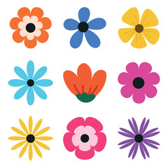 Colorful flowers set with daisies and gerberas, perfect for floral vector illustrations and summer designs