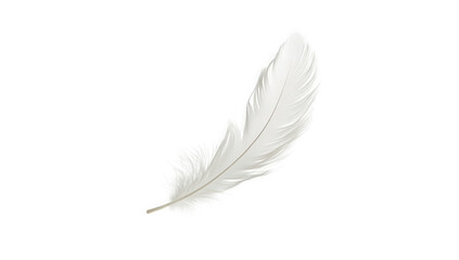 Obraz premium Single white feather isolated on transparent background, a symbol of lightness and freedom