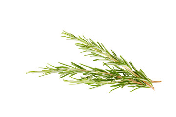 Fototapeta premium rosemary twig isolated on white or transparent png