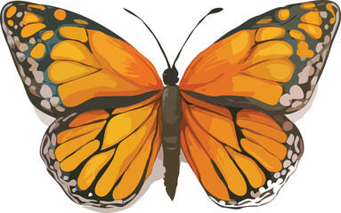 Butterfly vector art