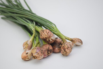 Freshly harvested shallots with roots and soil attached, isolated on white background, concept of agriculture, cooking ingredients, and organic farming.