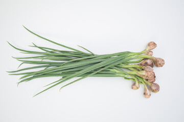 Fototapeta premium Freshly harvested shallots with long green leaves and soil on bulbs, isolated on white background, concept of organic farming and cooking ingredients.